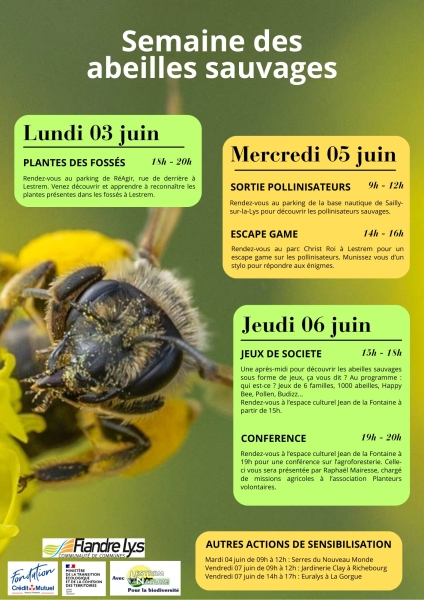 abeille