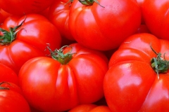 fete-tomate