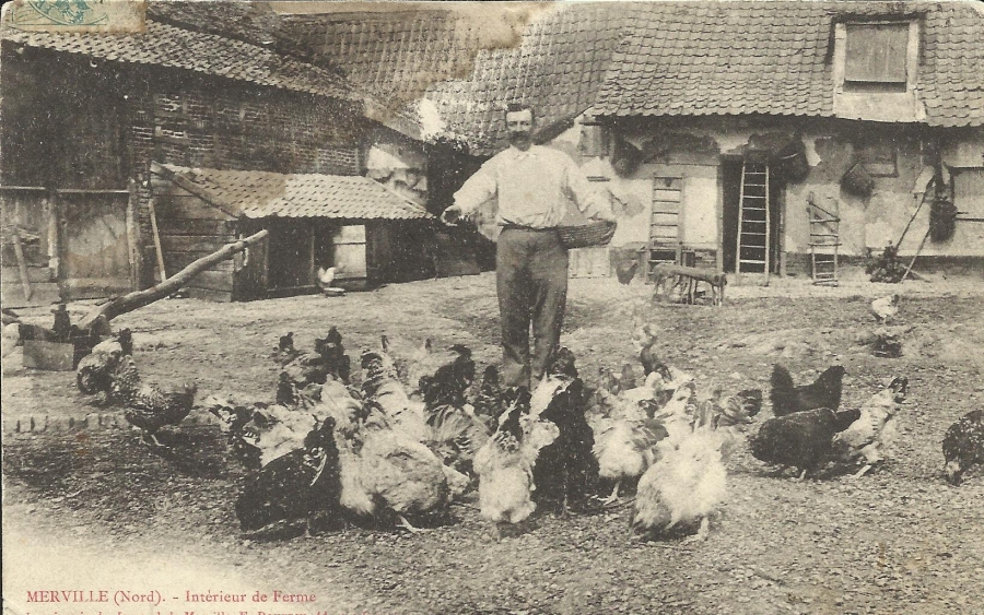 La_ferme_mervilloise_1908